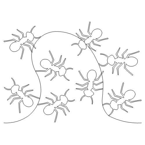 Ants Anitcs (AB)