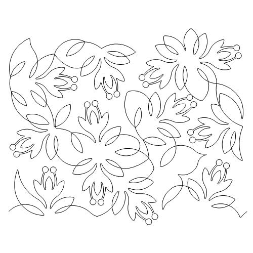 Lily Lace (AB)