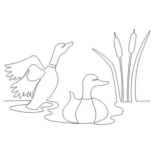 Ducks in a Pond (AB)