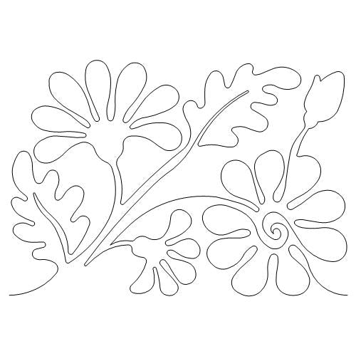 Festive Daisy (AB)