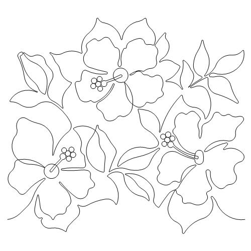 Hibiscus Flowers (AB)