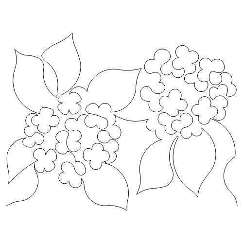 Hydrangea (AB)