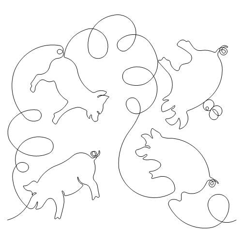 Little Pig (AB)