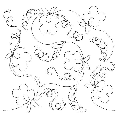 Sweetpeas (AB)