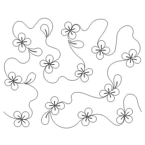 Syringa Paradise (AB)