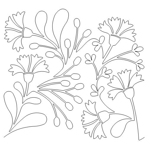 Carnation Fun (AB)