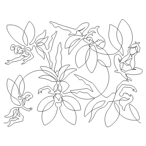Fairy Flight (AB)