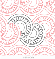 Lisas Feathered Fans