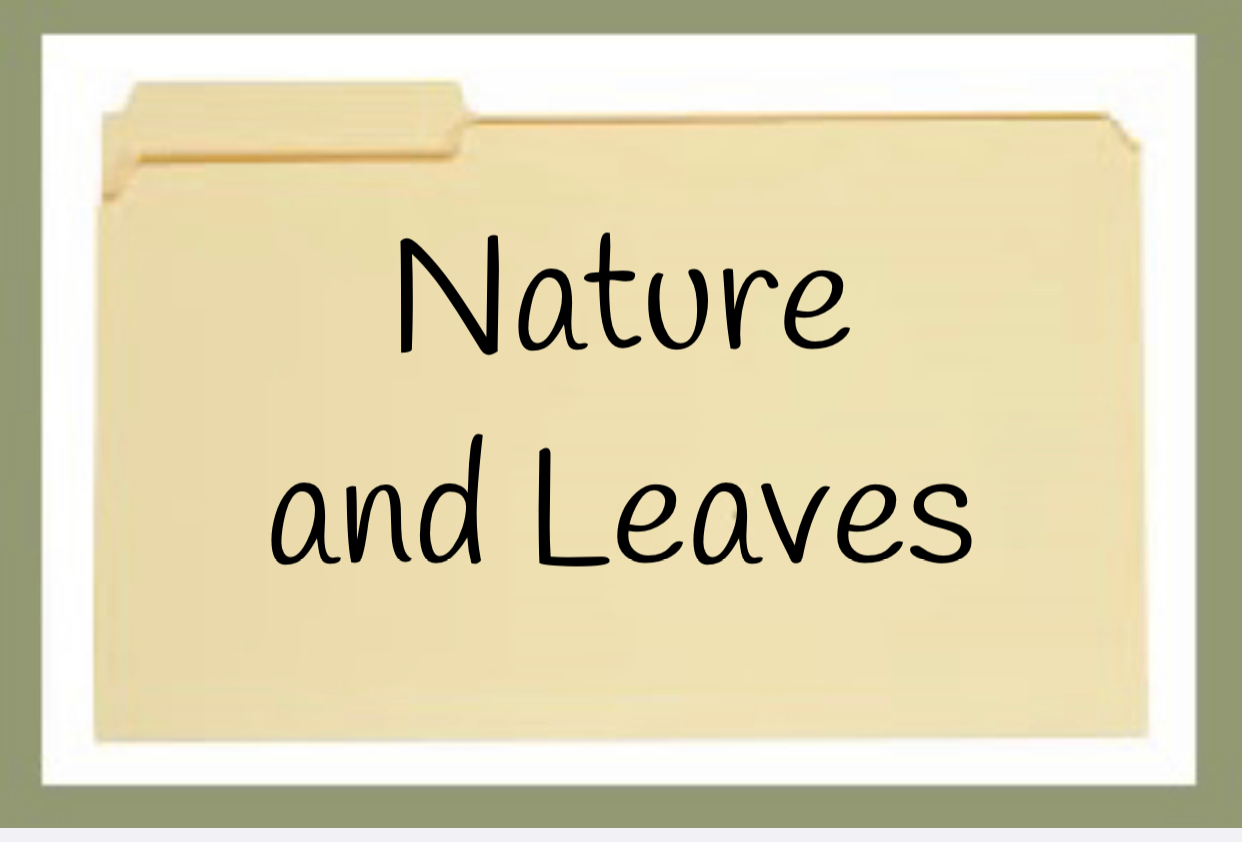 Nature and Leaves