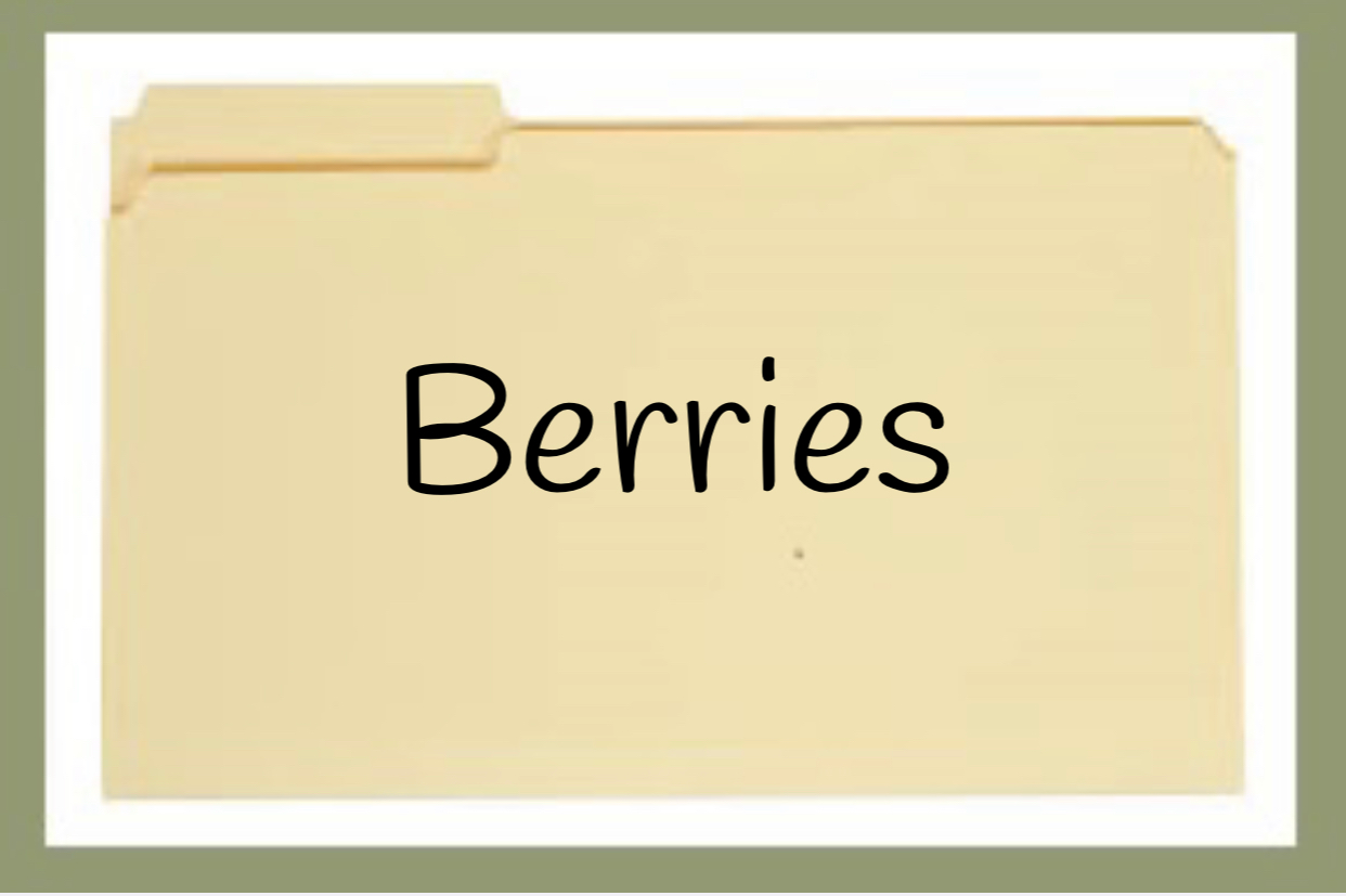 Berries