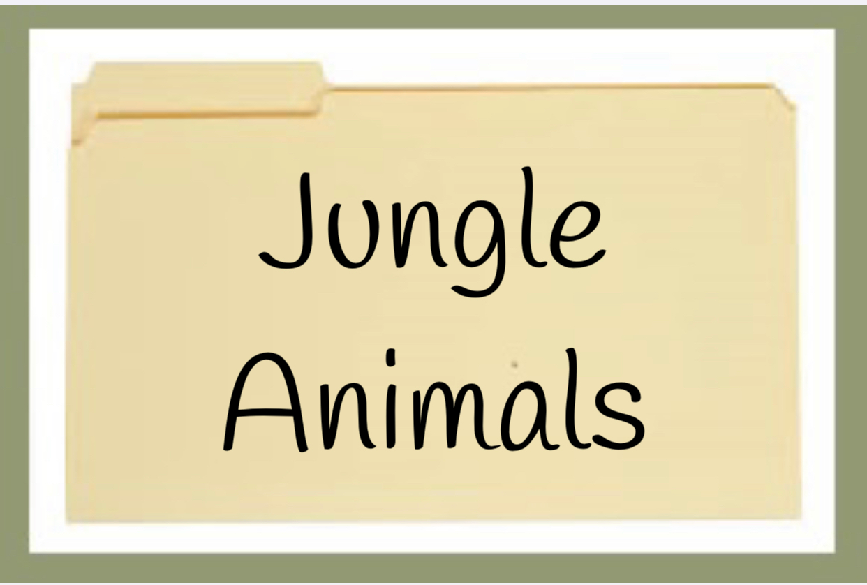 Jungle Animals