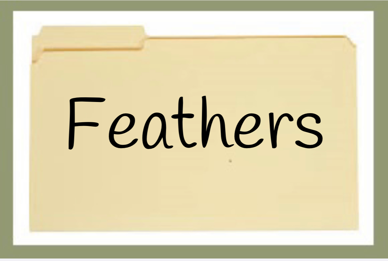 Feathers