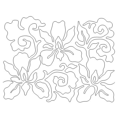 Iris for Donna     (AB)